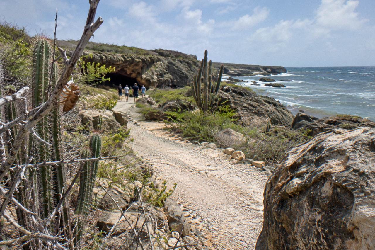 A rocky dirt track winding through dry cactus landscape toward the coast