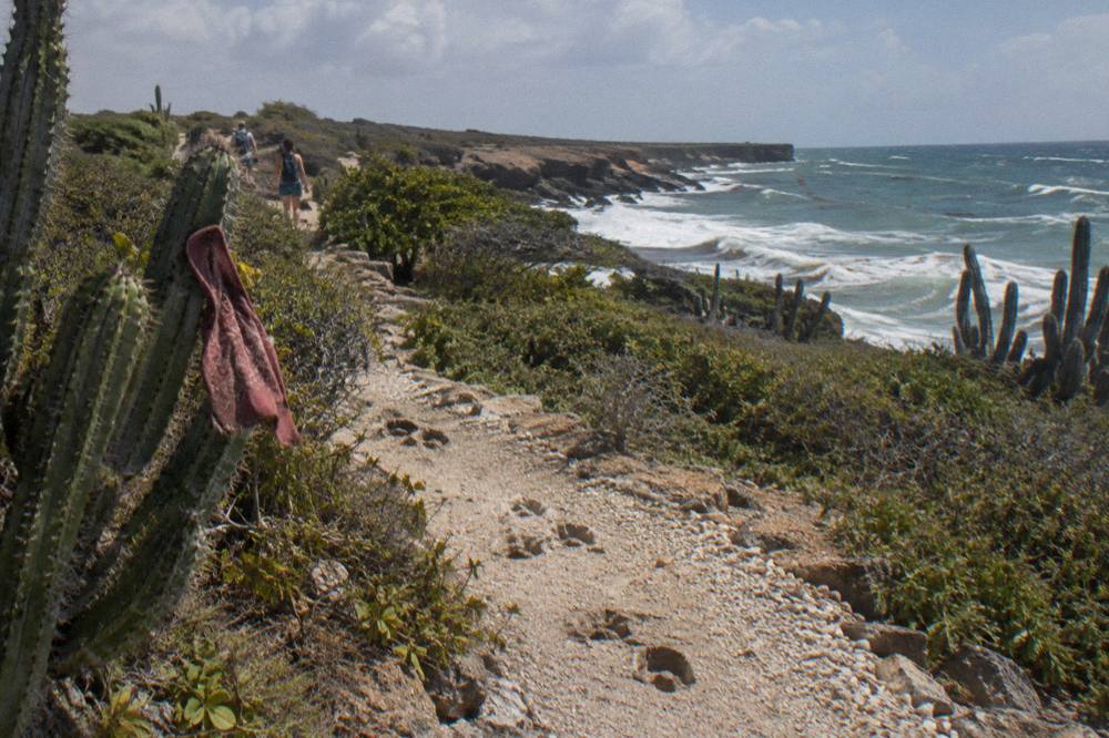 A dirt hiking path winding through dry cactus scrub toward rugged coastal cliffs