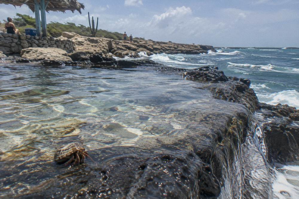 Clear shallow water filling a rocky coastal basin enclosed by dark lava formations