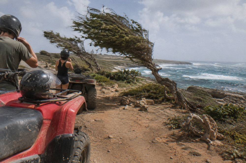 Two helmeted riders beside red ATVs on a dusty coastal track with wind-bent trees, rocky shoreline, and ocean surf