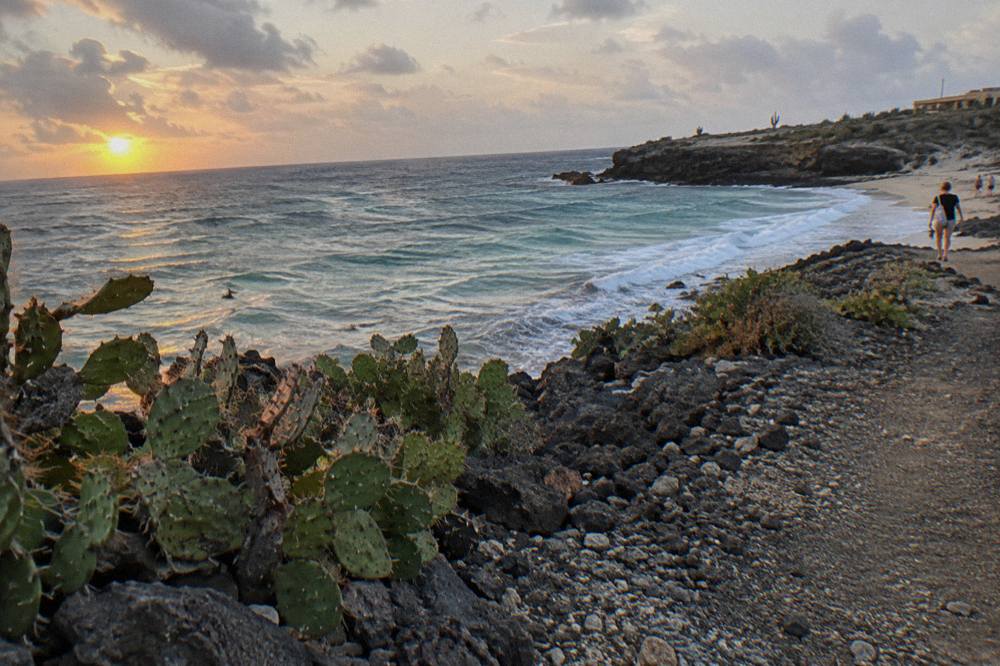 Sunrise light over a dry coastal trail with low cacti and dark volcanic rock