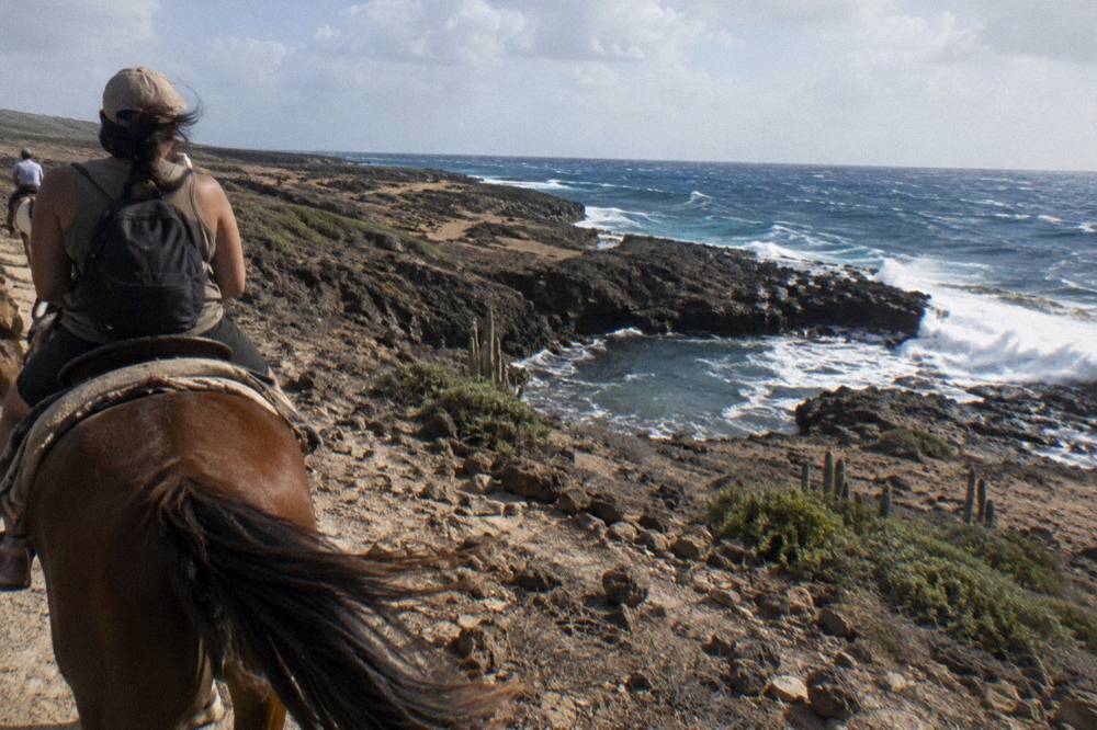 A rider on horseback looking out over waves breaking on dark volcanic rock along the coast