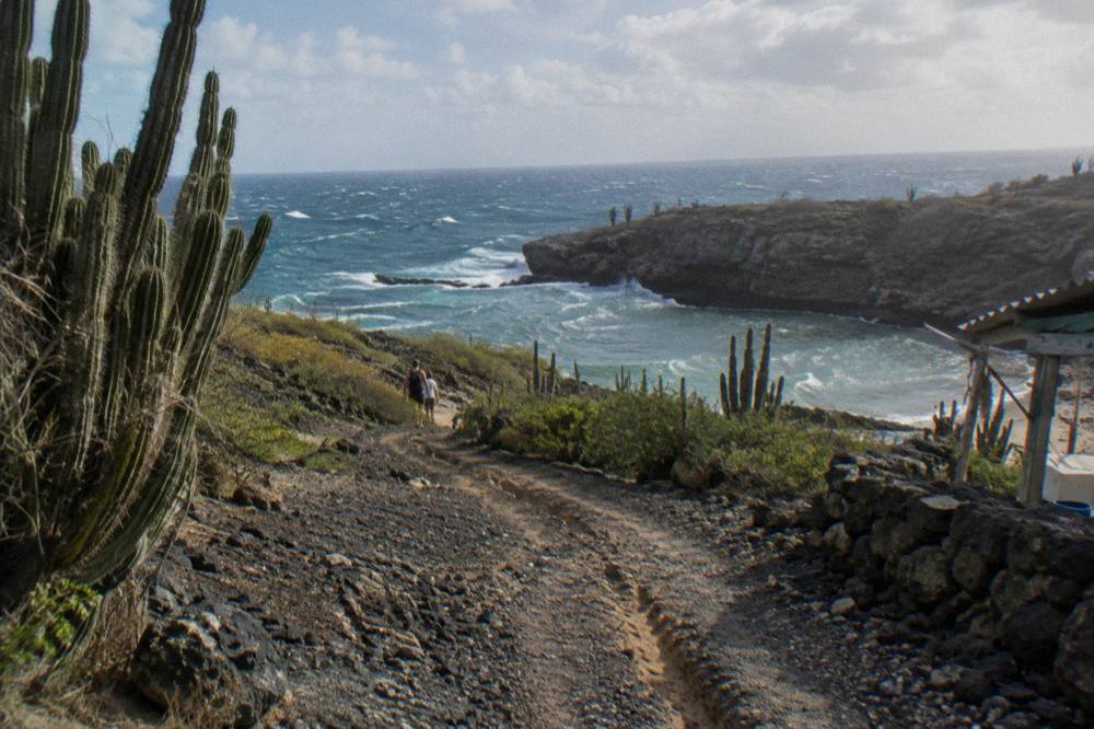 A rugged dirt track winding through dry cactus terrain toward the coast inside Arikok National Park