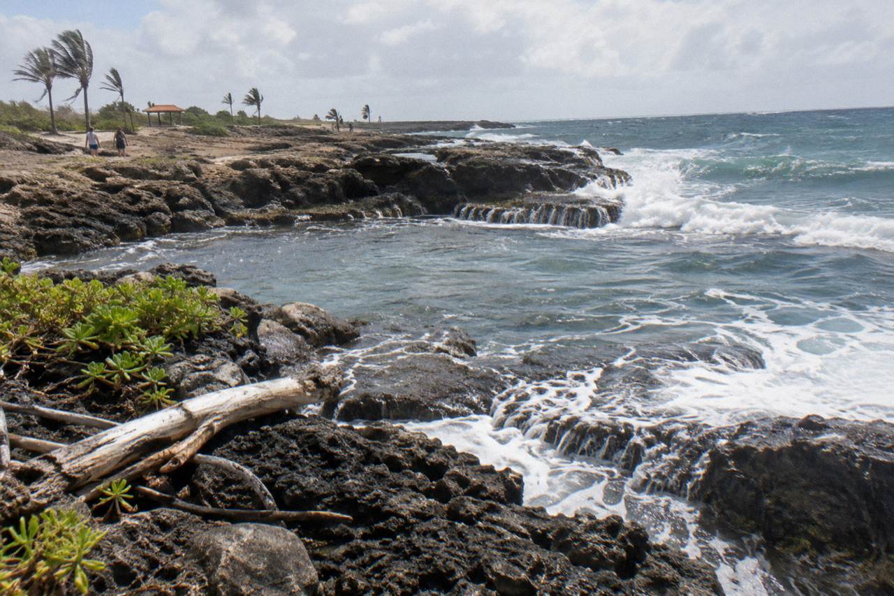Rocky volcanic shoreline with waves washing over a natural rock pool on Aruba's north-east coast
