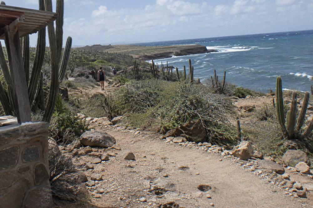 A rocky desert trail winding through cactus and low scrub toward a blue coastline