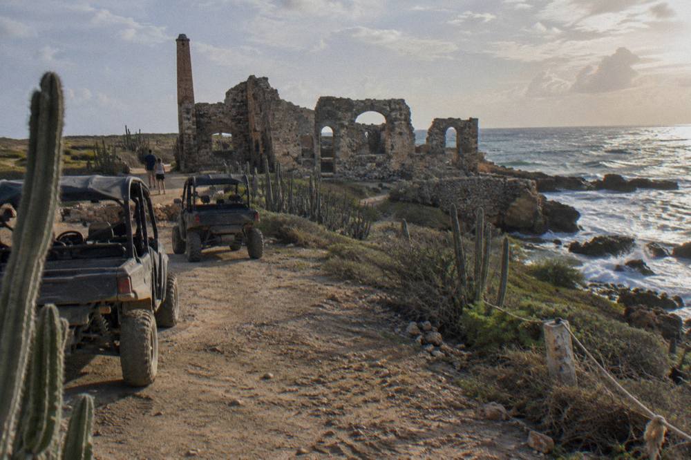 A line of four-wheel drive vehicles traveling on a rough dirt road between tall cacti and limestone rock formations