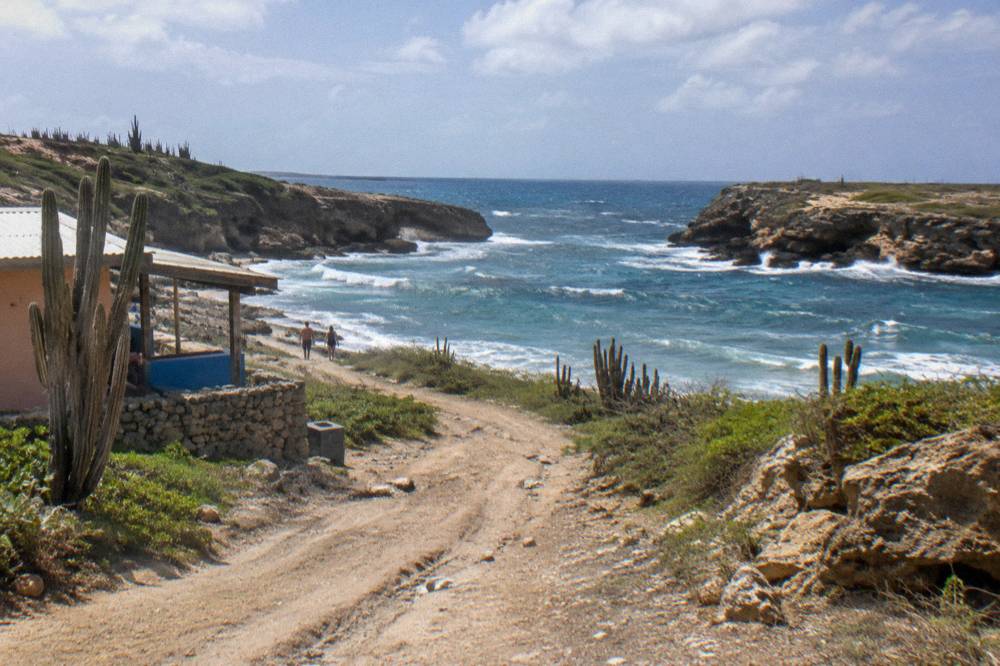 A coastal dirt track winding past limestone terraces and cacti toward a rocky shoreline with breaking waves