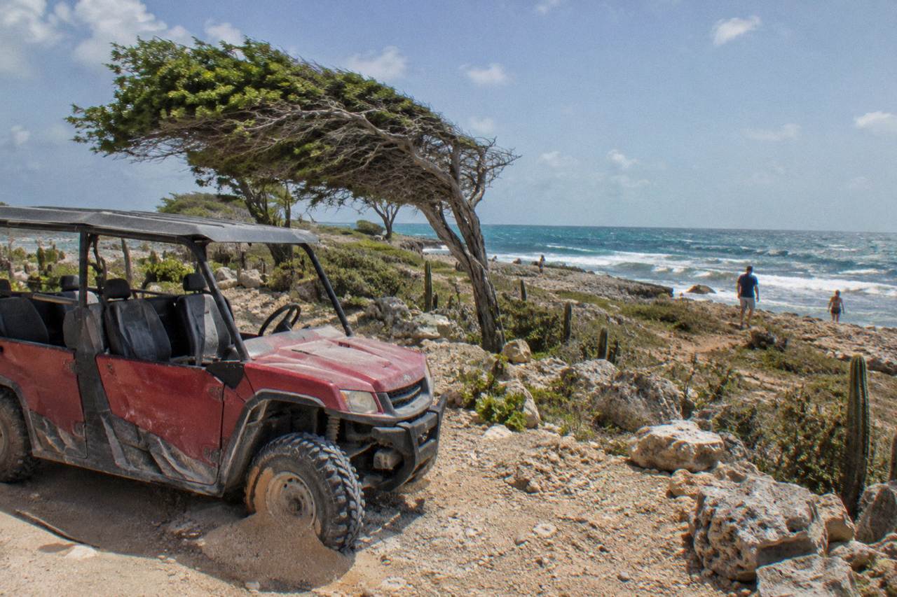 A four-seat UTV parked on a rocky dirt track along a dry, cactus-covered coastline under a clear sky