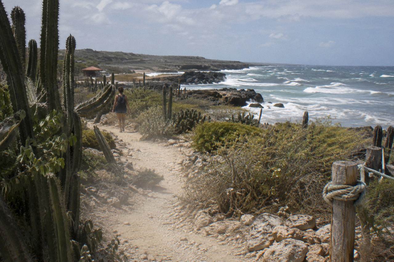 A dirt trail winding across Aruba's arid north coast toward rocky shoreline