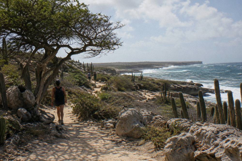 A dry desert hiking trail winding through cactus and scattered rock formations toward a distant coastline