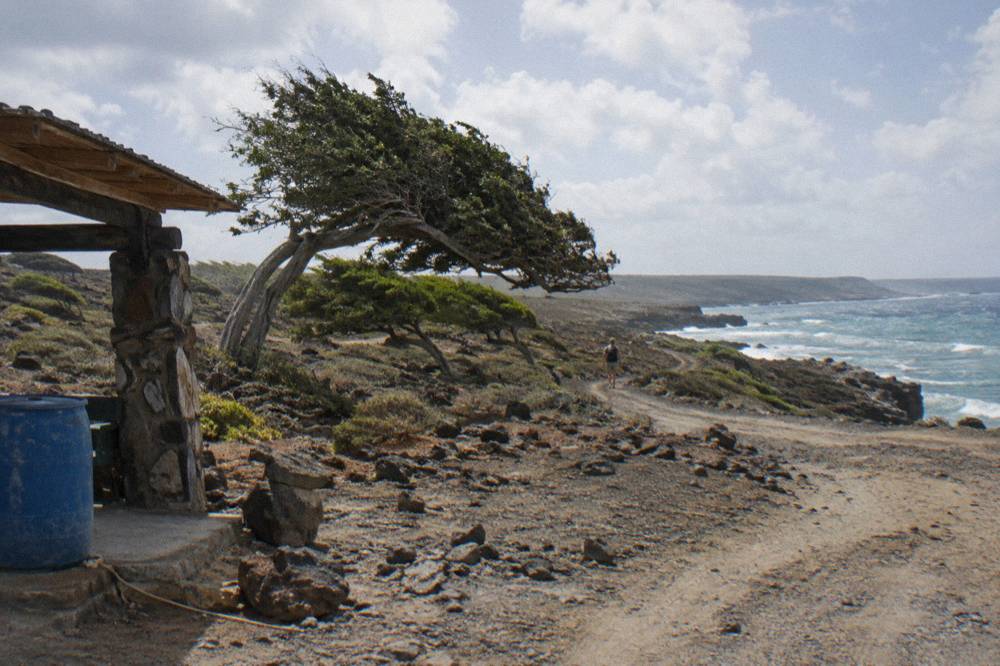 Rugged four-wheel-drive track winding through dark volcanic rock toward the north-east coast