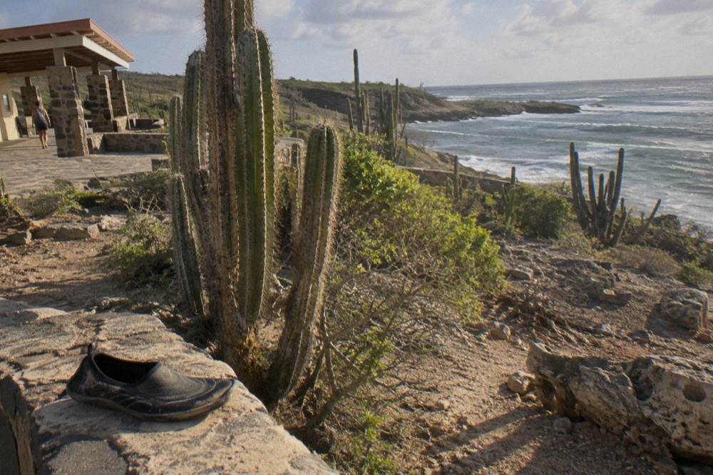 A water shoe on a stone ledge beside cacti, with a coastal building and Atlantic surf along a rugged shoreline