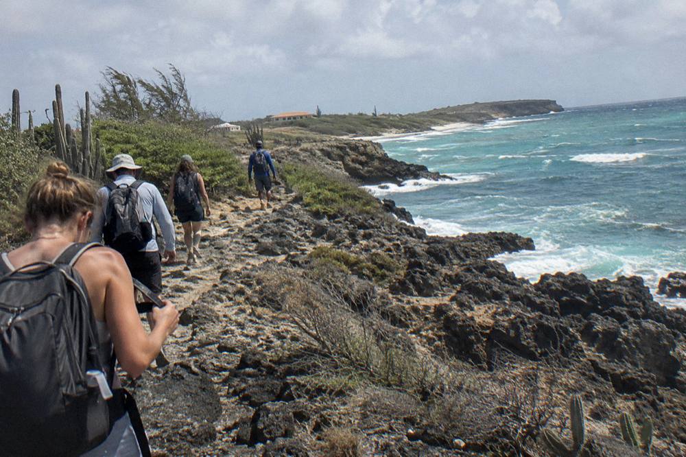 A small group of hikers following a guide along a coastal rock path at dawn