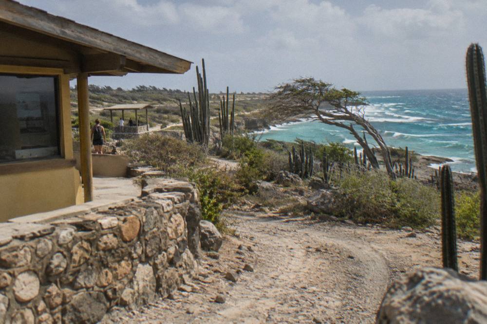 A rugged four-wheel-drive trail winding through dry cactus scrub toward the coast