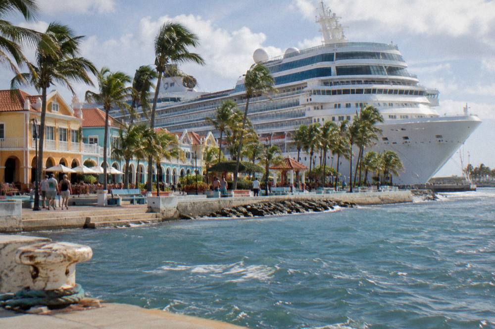 A cruise ship docked along a waterfront boulevard with palm trees