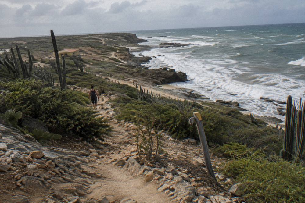 Dry rocky trail winding through cactus scrub toward the coast