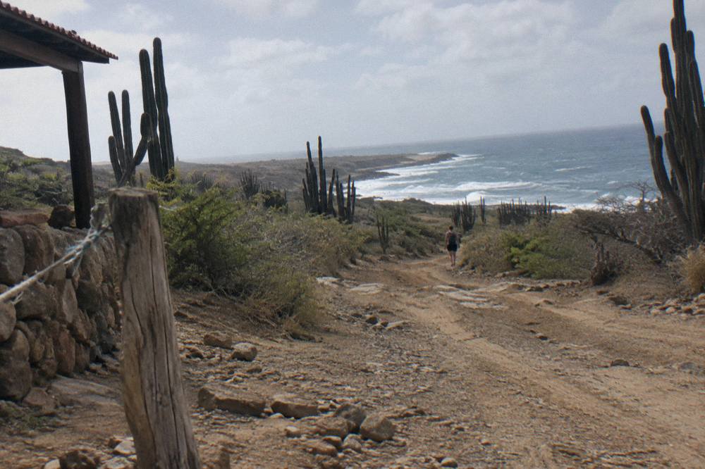A rugged dirt track winding through dry cactus terrain toward the coast inside Arikok National Park