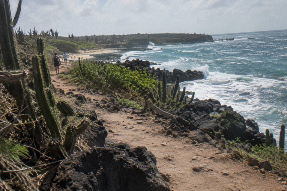 A rugged dirt trail winding through cactus and rock toward a rocky coastline with waves breaking