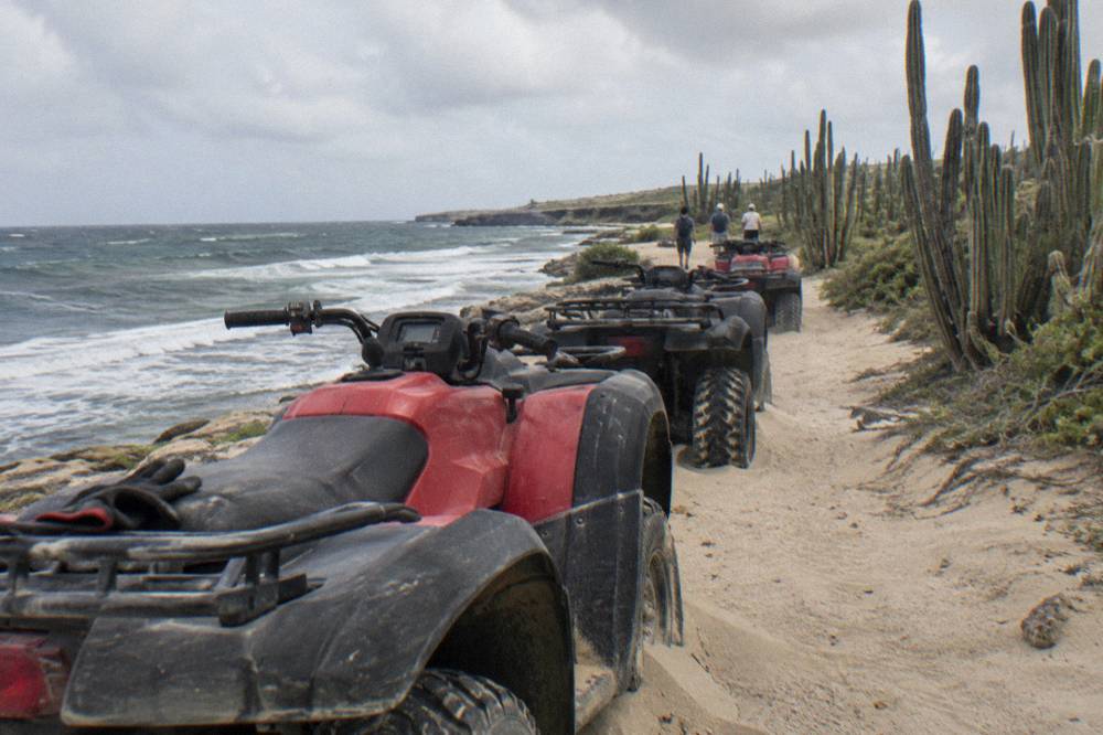 A line of parked quad vehicles on a sandy desert track beside tall cactus plants