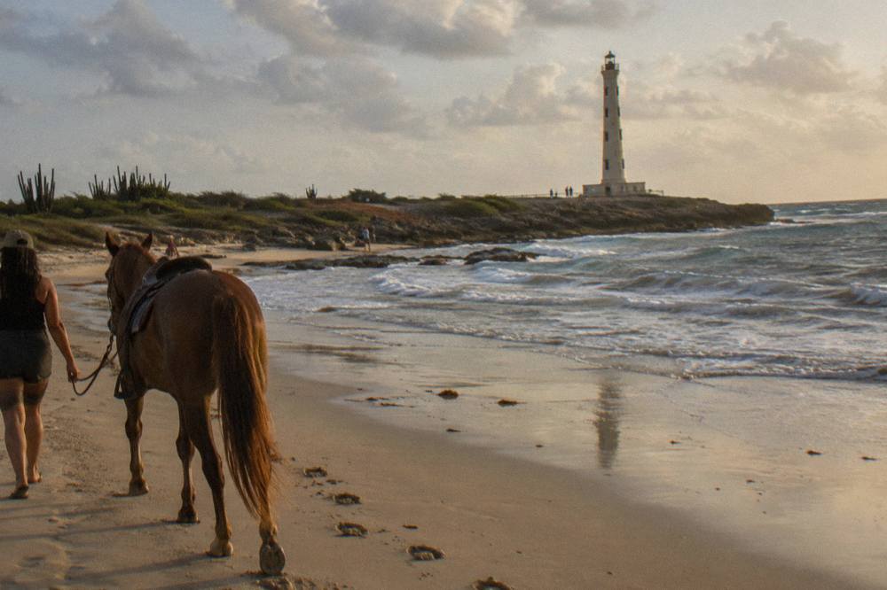 A horse and rider walking along a wide sandy beach with low waves in the background