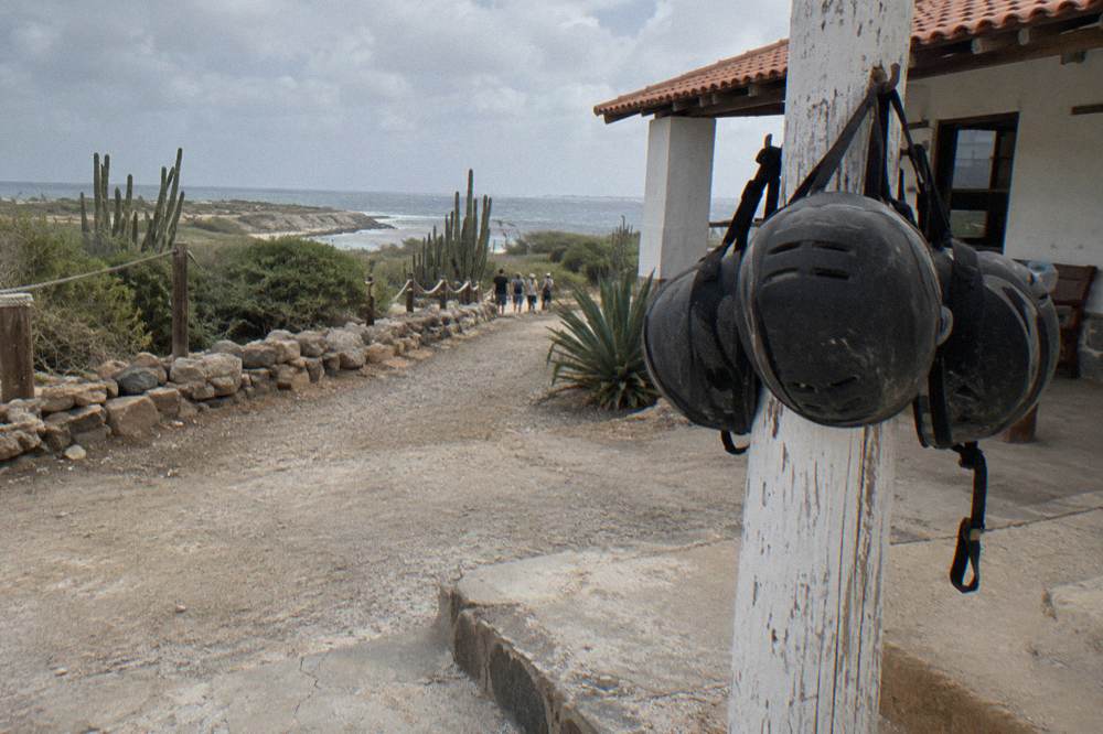 Riding helmets hanging on a wooden post at a stable entrance