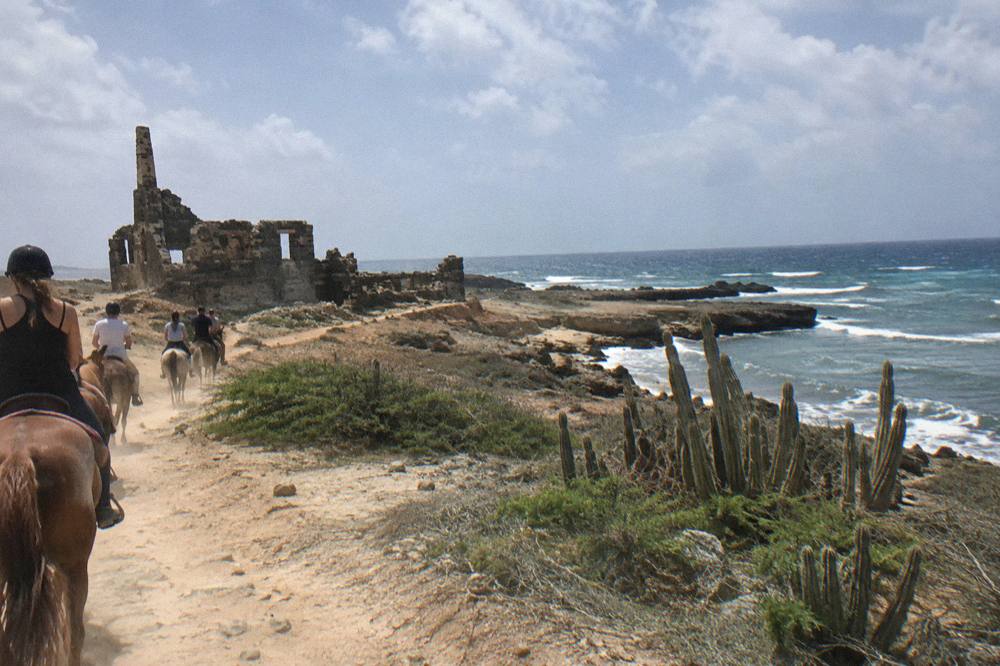 Horseback riders following a guide along a sandy desert trail toward the coastline