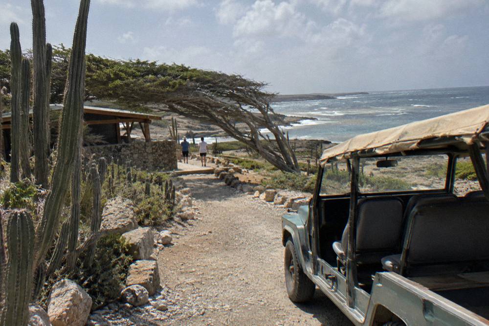Open Air Jeep Parked On A Dirt Track Through Dry Cactus Landscape