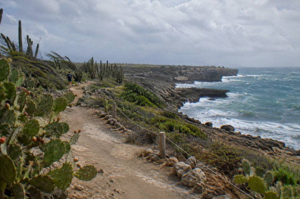 Marked dirt trail winding through dry cactus terrain toward coastal cliffs