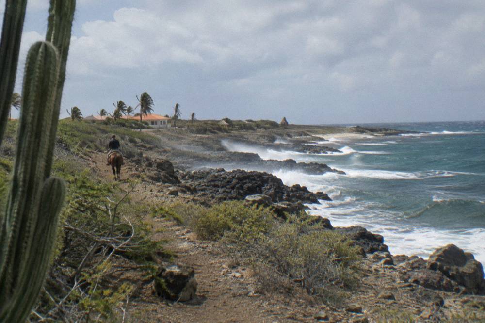 A horse and rider on a rocky trail above a rocky coastline with waves breaking offshore