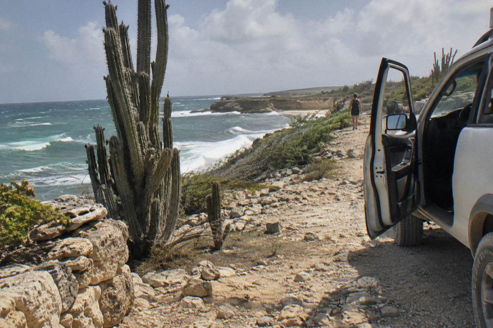 An open four wheel drive vehicle parked on a dirt track beside tall cactus in dry terrain