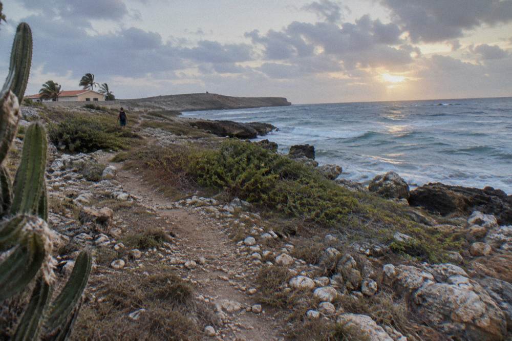 A narrow dirt footpath leading across dry rocky terrain toward the coast