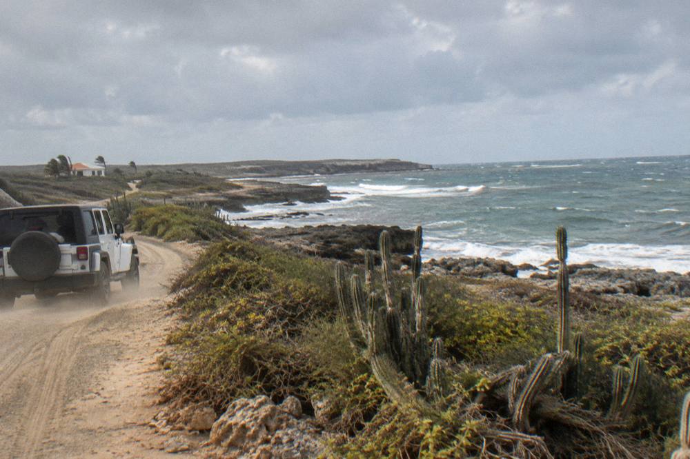 A white 4x4 jeep trailing dust along a coastal dirt road with cactus and low scrub
