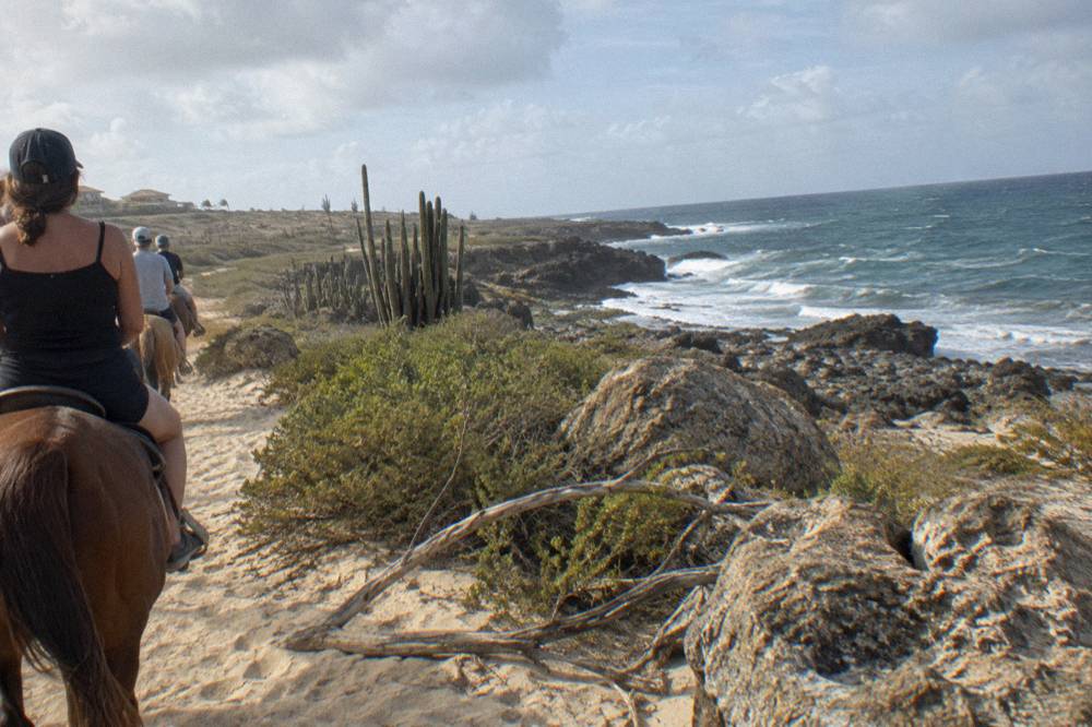 A rocky desert trail winding toward a coastline of dark stone and breaking surf