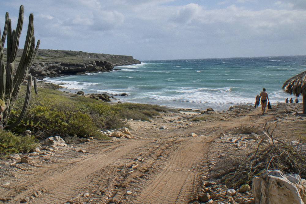 Rugged dirt track with tire tracks crossing dry rocky terrain toward the sea