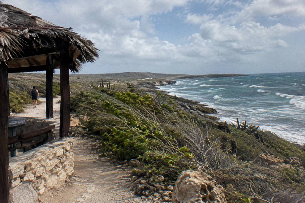 Trade winds bending dry shrubs along a coastal dirt track under a partly cloudy sky