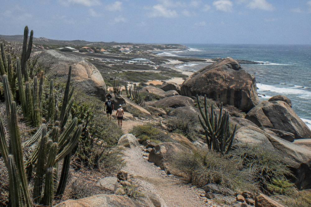 Arid cactus-dotted hillside above a rocky coastline under a clear sky
