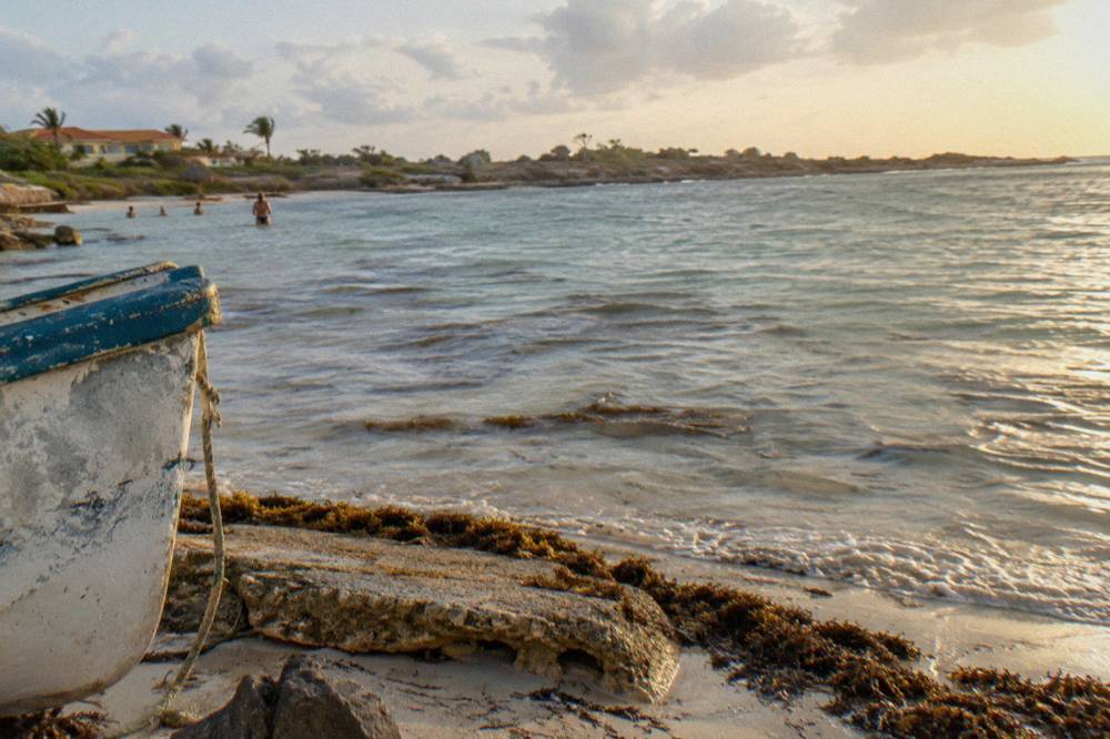 Sunrise light over calm Caribbean water beside dark shoreline rocks