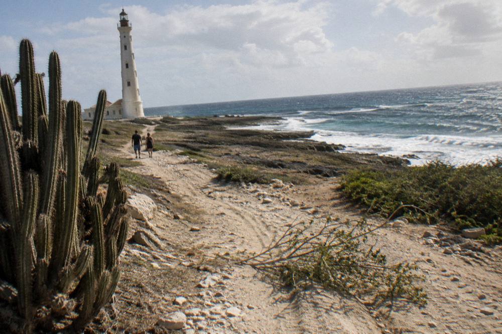 Open-air vehicle track through rocky desert terrain toward the coast
