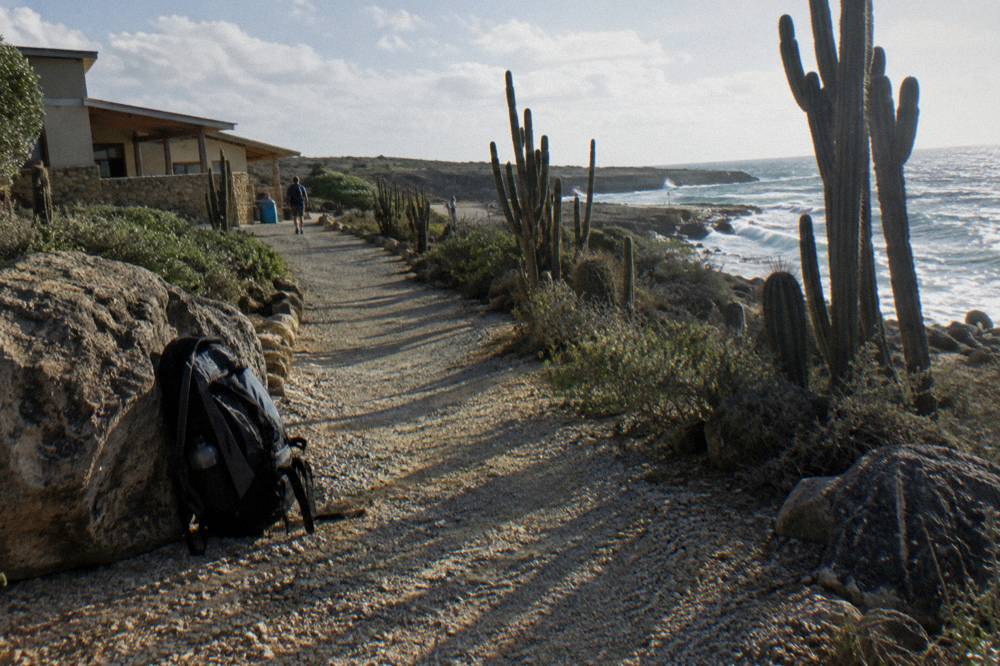 Early morning light on a rocky desert trail descending toward the sea, cacti casting long shadows