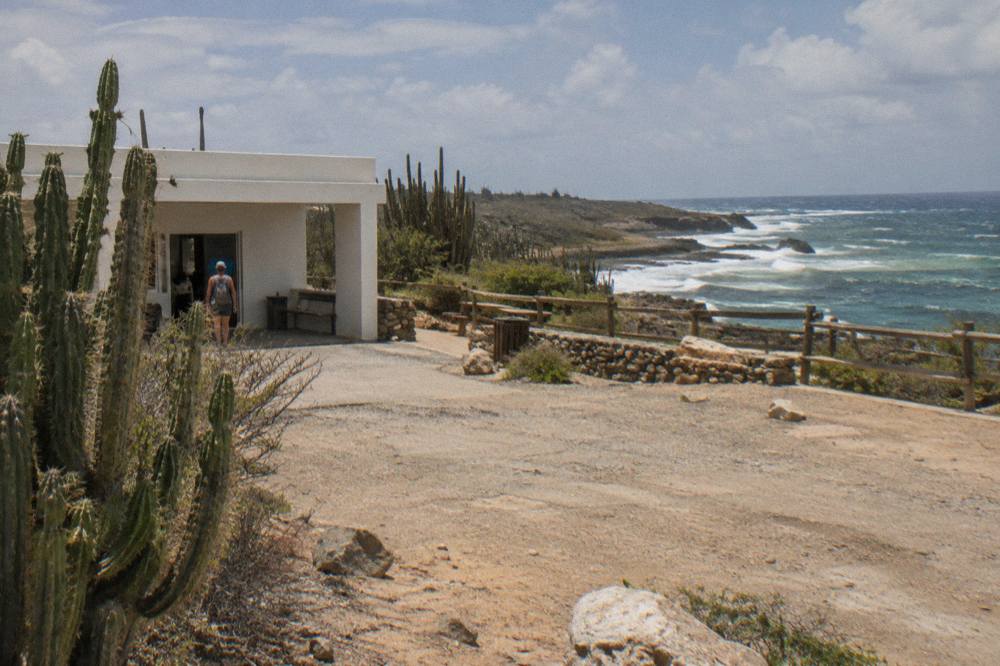 A white flat-roofed building beside tall cactus overlooking a dry rocky Aruba coast with a wooden fence and ocean surf in the distance