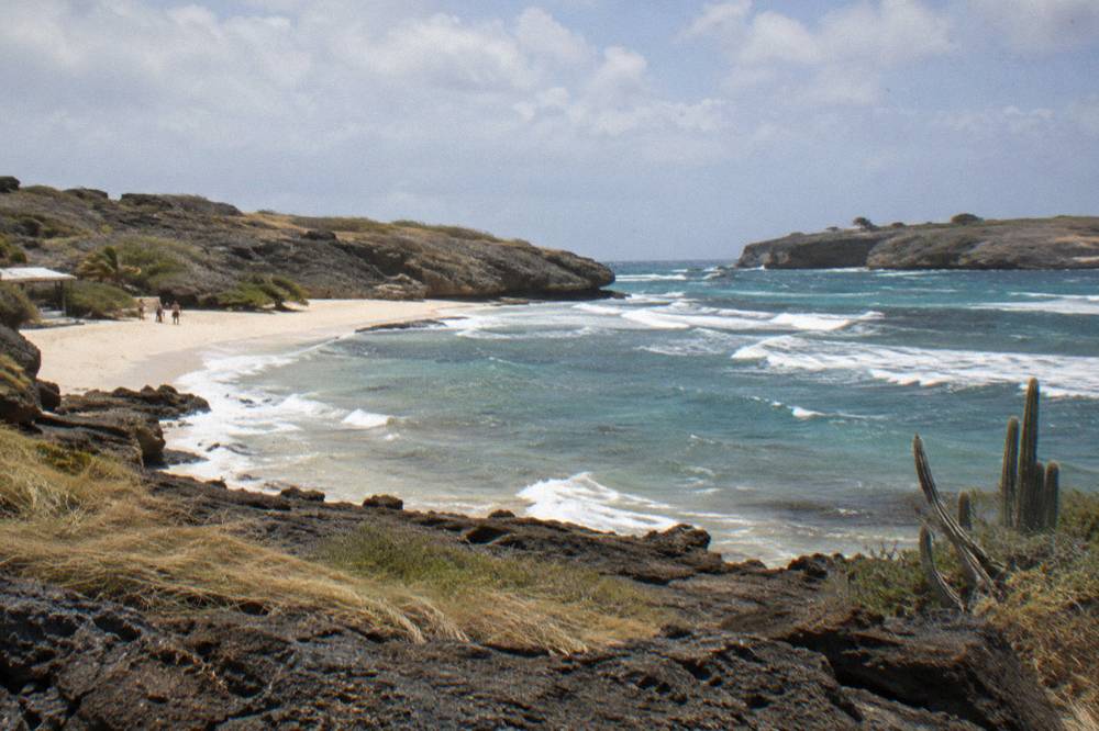 A coastal footpath along rocky shoreline with waves breaking against dark volcanic rock