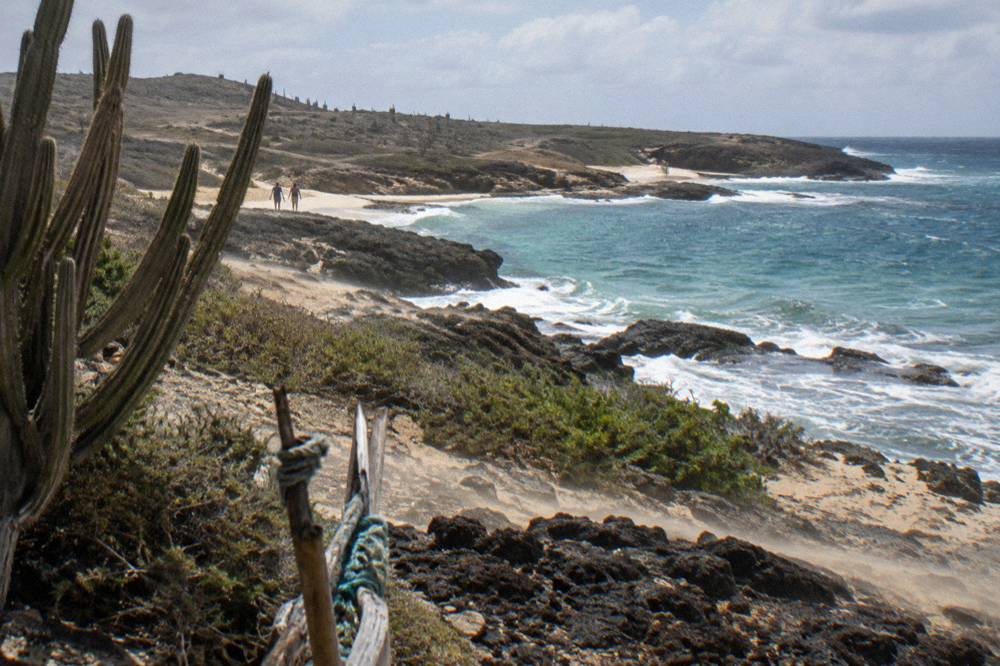 Dry cactus scrubland and dark volcanic rock rolling down to a rough blue sea