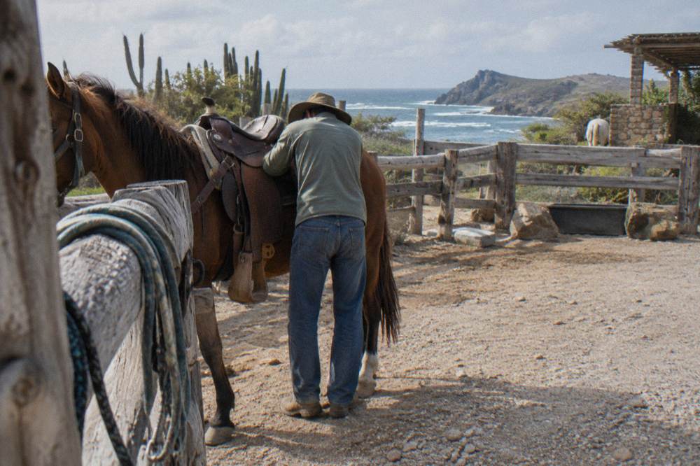 A guide adjusting a saddle on a calm horse beside a ranch fence before a trail ride