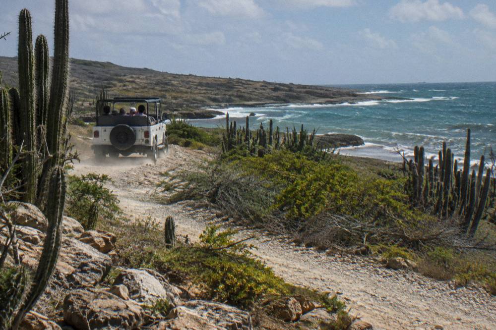 Open-air jeep driving a rocky trail through cactus scrubland toward the coast