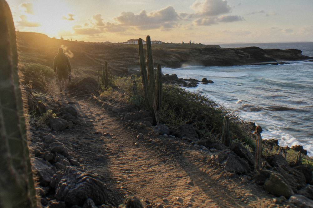 Sunrise light on a rocky coastal trail above dark stone terrain