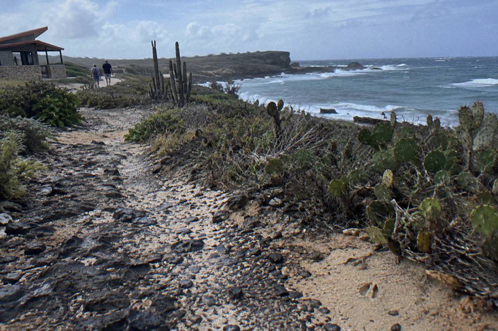 A rough rocky track winding through dry cactus scrubland toward the coast