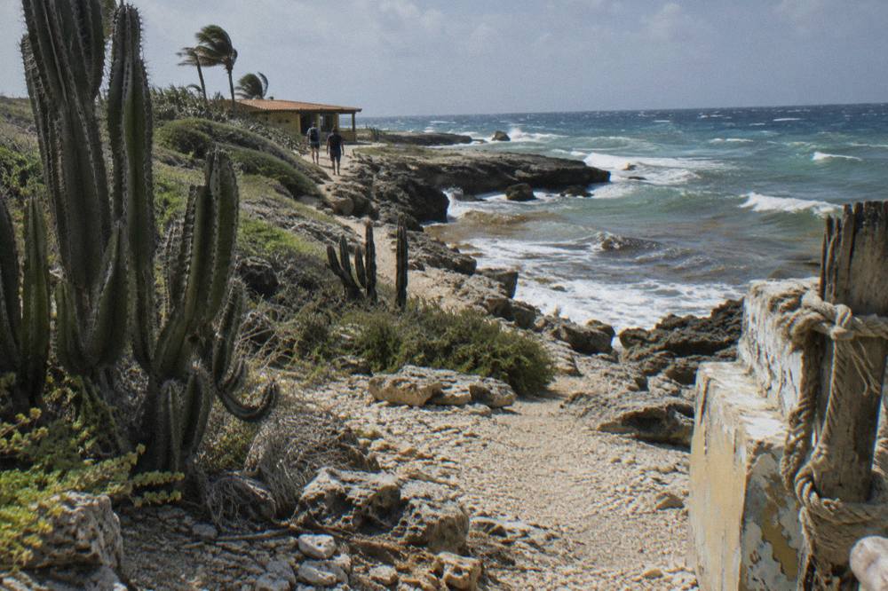 Open rocky trail along a dry coastline with cacti and low scrub
