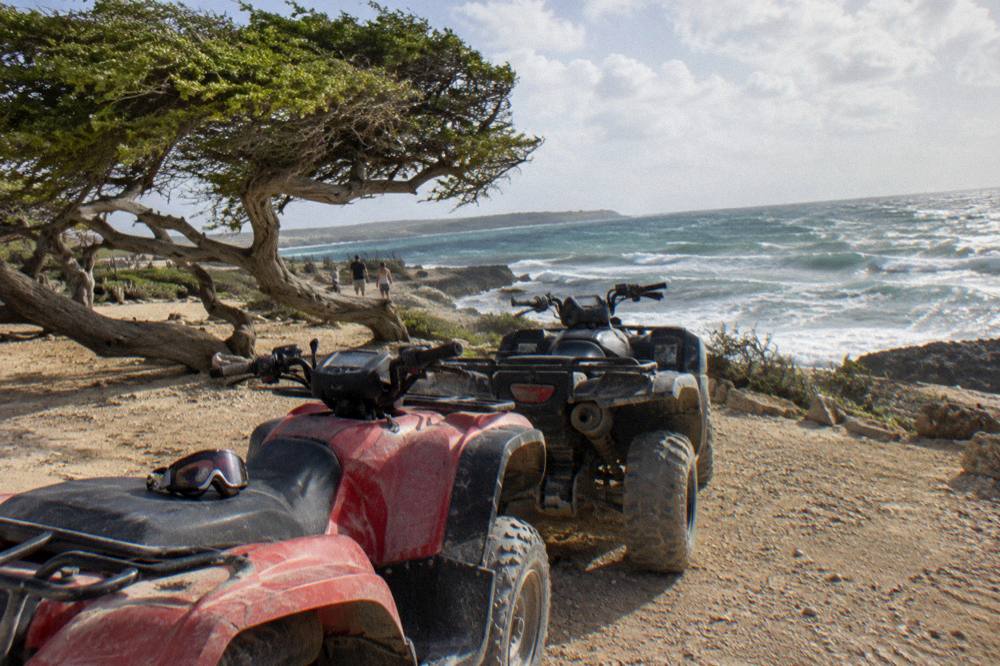 Parked off-road vehicles on a dirt track beside coastal scrub