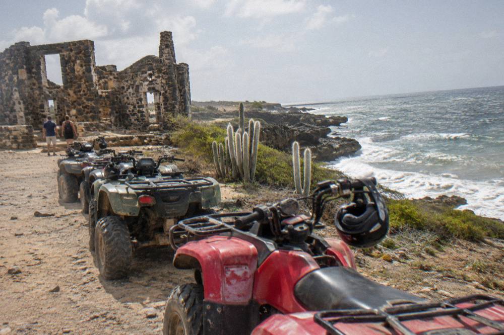 A line of quad vehicles on a coastal dirt road beside white cactus and flat rock