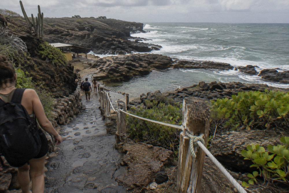 A rugged rocky track winding toward a volcanic coastline with waves beyond